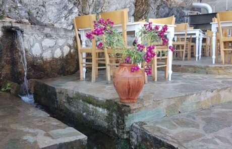 Mystras Spring Yoga Retreat