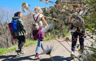 Mystras Spring Yoga Retreat