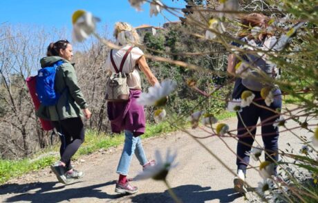 Mystras Spring Yoga Retreat