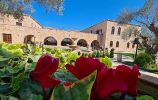 Mystras Spring Yoga Retreat