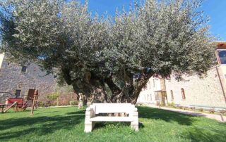 Mystras Spring Yoga Retreat
