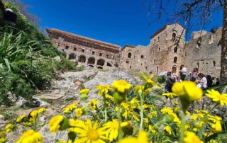 Mystras Spring Yoga Retreat