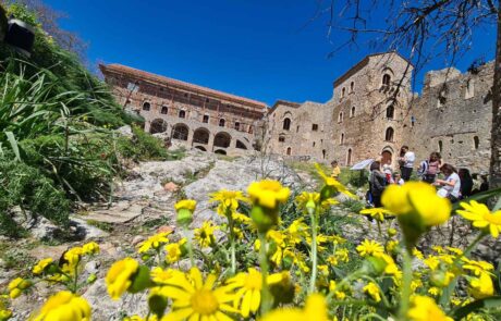 Mystras Spring Yoga Retreat